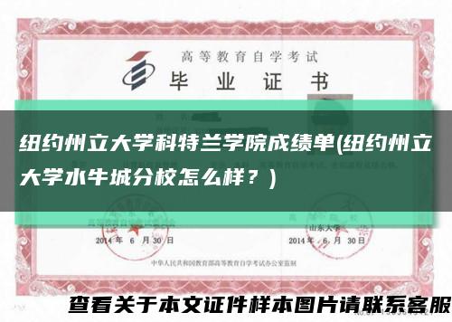 纽约州立大学科特兰学院成绩单(纽约州立大学水牛城分校怎么样？)缩略图