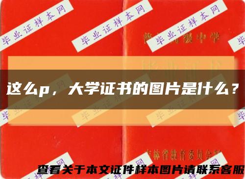 这么p，大学证书的图片是什么？缩略图