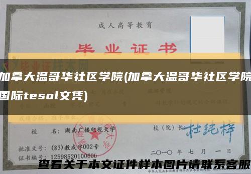 加拿大温哥华社区学院(加拿大温哥华社区学院国际tesol文凭)缩略图