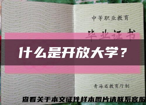 什么是开放大学？缩略图