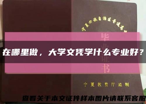 在哪里做，大学文凭学什么专业好？缩略图