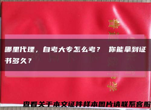 哪里代理，自考大专怎么考？ 你能拿到证书多久？缩略图