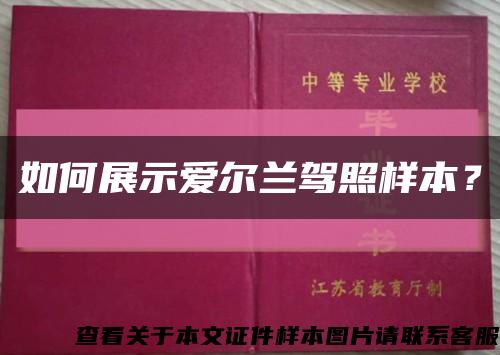 如何展示爱尔兰驾照样本？缩略图