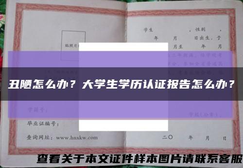 丑陋怎么办？大学生学历认证报告怎么办？缩略图