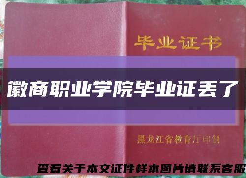 徽商职业学院毕业证丢了缩略图