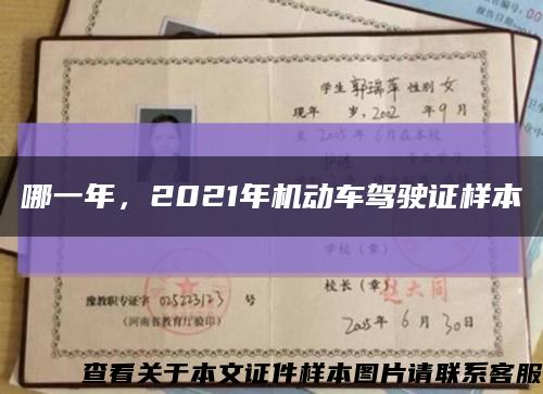 哪一年，2021年机动车驾驶证样本缩略图