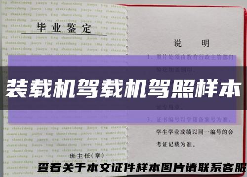 装载机驾载机驾照样本缩略图