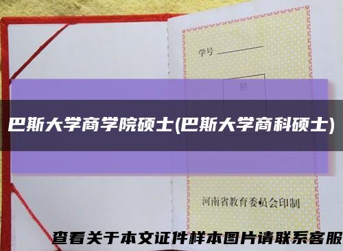 巴斯大学商学院硕士(巴斯大学商科硕士)缩略图