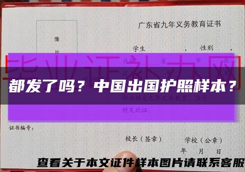 都发了吗？中国出国护照样本？缩略图