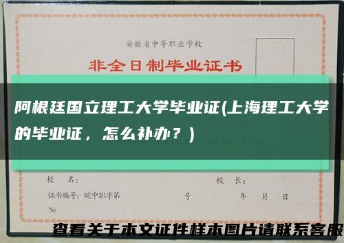 阿根廷国立理工大学毕业证(上海理工大学的毕业证，怎么补办？)缩略图