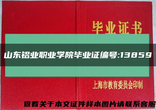 山东铝业职业学院毕业证编号:13859缩略图