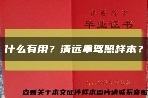 什么有用？清远拿驾照样本？缩略图