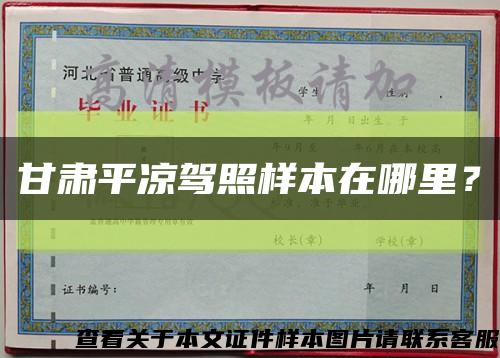 甘肃平凉驾照样本在哪里？缩略图