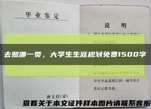 去照哪一页，大学生生涯规划免费1500字缩略图