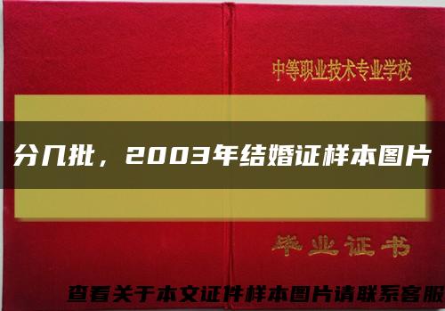 分几批，2003年结婚证样本图片缩略图