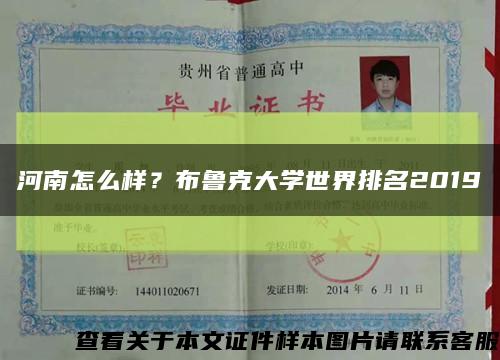 河南怎么样？布鲁克大学世界排名2019缩略图