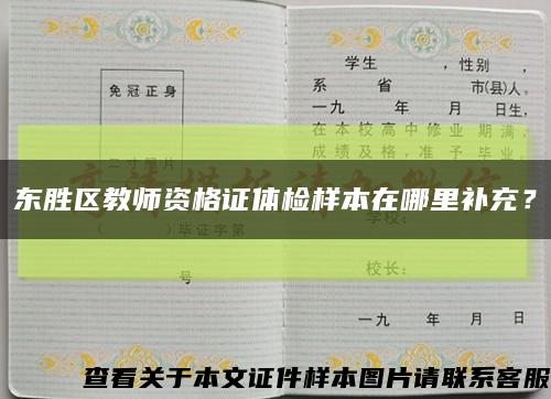 东胜区教师资格证体检样本在哪里补充？缩略图