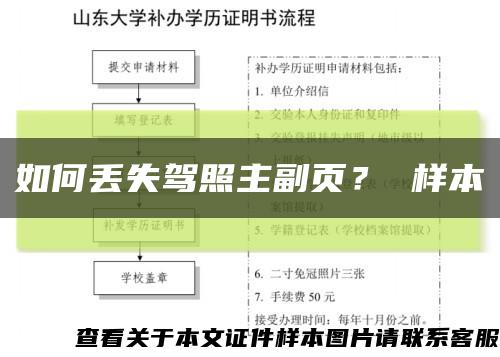 如何丢失驾照主副页？ 样本缩略图