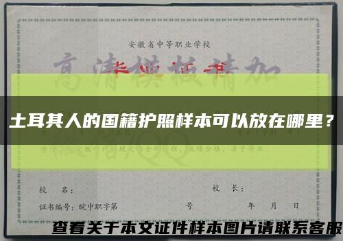 土耳其人的国籍护照样本可以放在哪里？缩略图