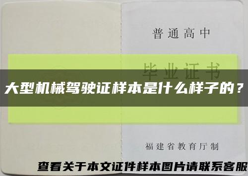 大型机械驾驶证样本是什么样子的？缩略图