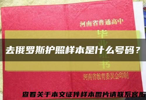 去俄罗斯护照样本是什么号码？缩略图