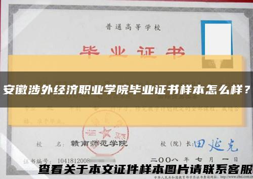 安徽涉外经济职业学院毕业证书样本怎么样？缩略图