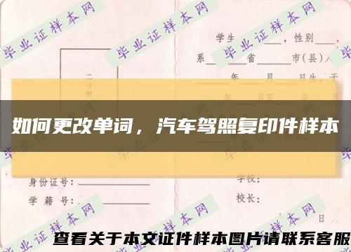 如何更改单词，汽车驾照复印件样本缩略图