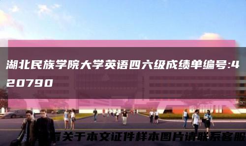 湖北民族学院大学英语四六级成绩单编号:420790缩略图