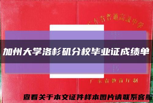 加州大学洛杉矶分校毕业证成绩单缩略图