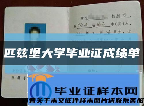 匹兹堡大学毕业证成绩单缩略图