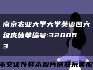 南京农业大学大学英语四六级成绩单编号:320063缩略图