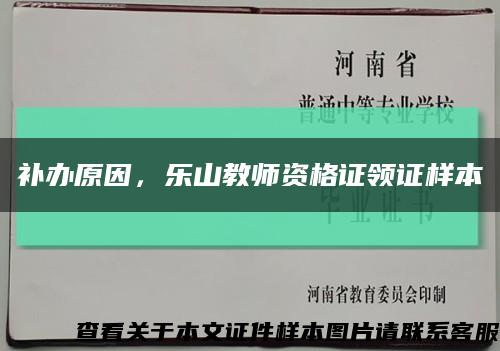 补办原因，乐山教师资格证领证样本缩略图