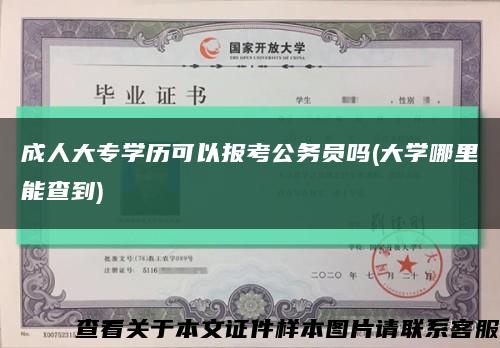 成人大专学历可以报考公务员吗(大学哪里能查到)缩略图