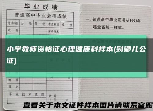 小学教师资格证心理健康科样本(到哪儿公证)缩略图