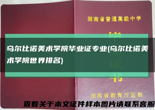 乌尔比诺美术学院毕业证专业(乌尔比诺美术学院世界排名)缩略图