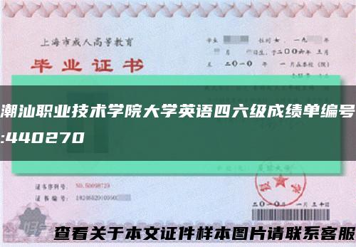 潮汕职业技术学院大学英语四六级成绩单编号:440270缩略图