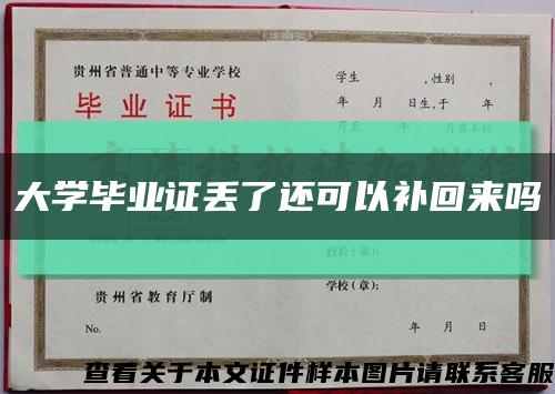 大学毕业证丢了还可以补回来吗缩略图