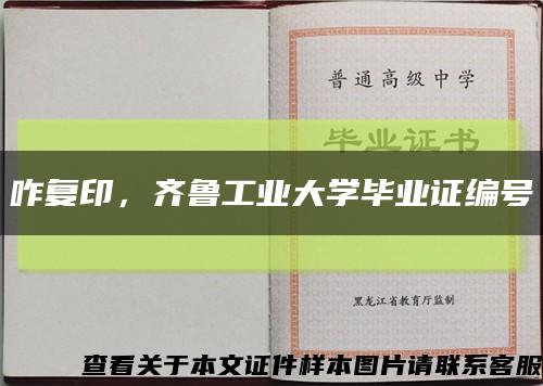 咋复印，齐鲁工业大学毕业证编号缩略图