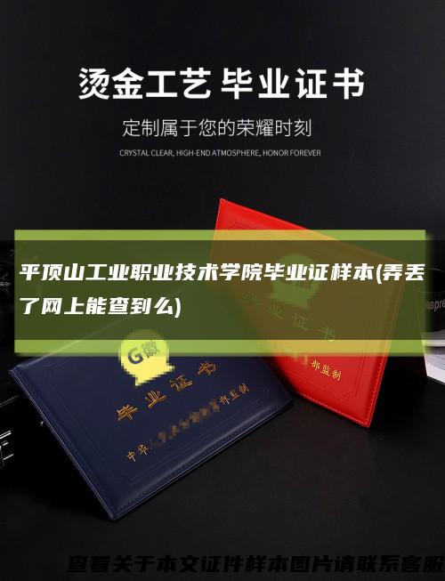 平顶山工业职业技术学院毕业证样本(弄丢了网上能查到么)缩略图