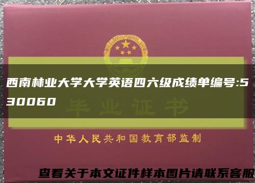 西南林业大学大学英语四六级成绩单编号:530060缩略图