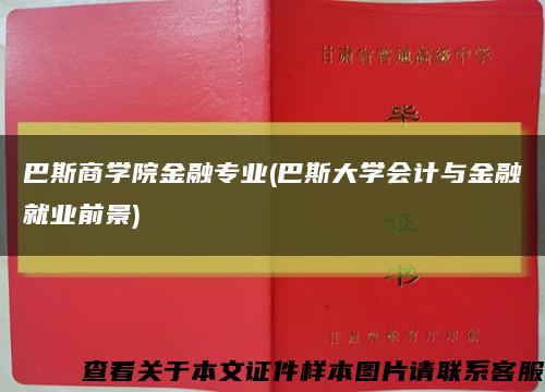 巴斯商学院金融专业(巴斯大学会计与金融就业前景)缩略图