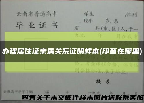 办理居住证亲属关系证明样本(印章在哪里)缩略图