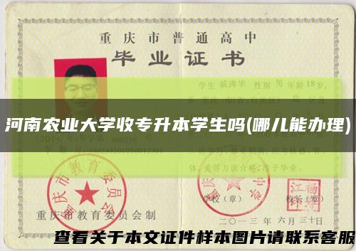 河南农业大学收专升本学生吗(哪儿能办理)缩略图