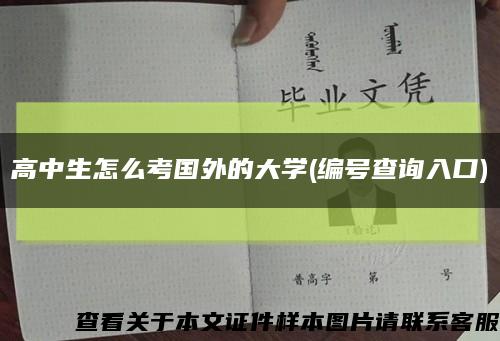 高中生怎么考国外的大学(编号查询入口)缩略图