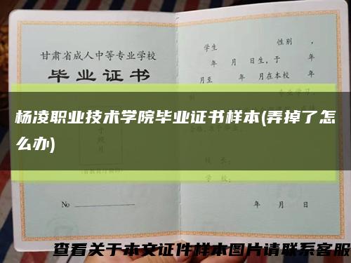 杨凌职业技术学院毕业证书样本(弄掉了怎么办)缩略图