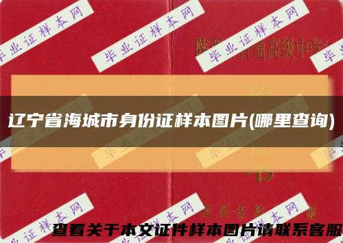 辽宁省海城市身份证样本图片(哪里查询)缩略图