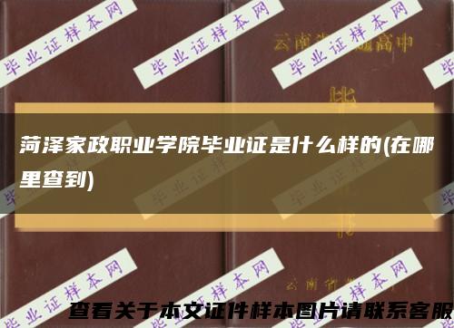 菏泽家政职业学院毕业证是什么样的(在哪里查到)缩略图