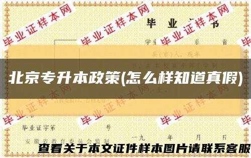 北京专升本政策(怎么样知道真假)缩略图