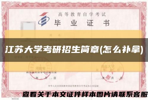 江苏大学考研招生简章(怎么补拿)缩略图