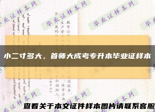 小二寸多大，首师大成考专升本毕业证样本缩略图